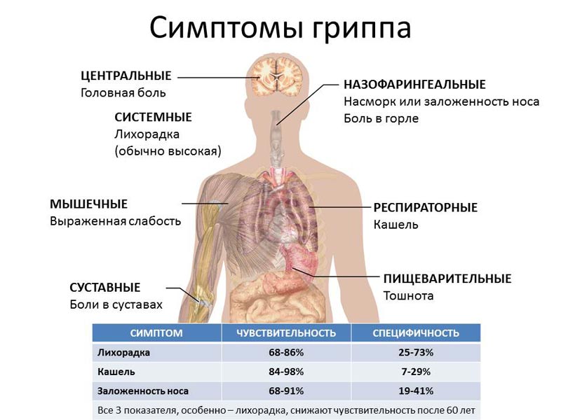 Ведущие клинические симптомы гриппа аккредитация