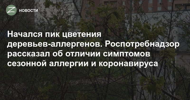 Пик наступил. Деревья аллергены в Краснодаре. Какие аллергены сейчас в воздухе.